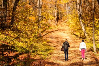 Wandelmonitor 2021: tweederde Nederlanders aan de wandel