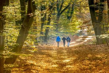 veluwe wandelen