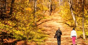 Wandelmonitor 2021: tweederde Nederlanders aan de wandel