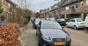 parkeren auto straat woonwijk