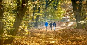 veluwe wandelen